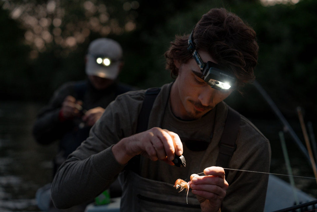 Ledlenser HF8R Core RGB / Camo (Special Edition)